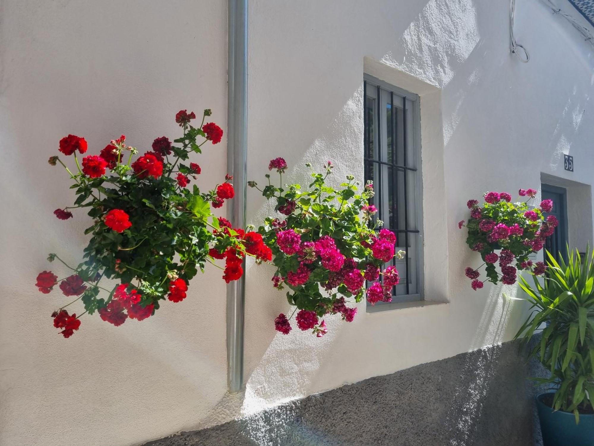 Casita Cazorla Villa Exteriör bild